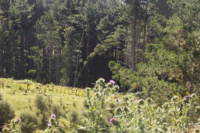 Photo of property in 70 Greens Road, Linton, Palmerston North, 4472