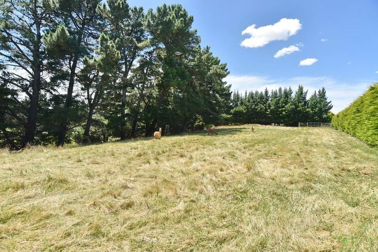 Photo of property in 1392 Oxford Road, Cust, Rangiora, 7471