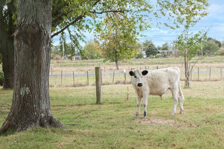Photo of property in 79/79a Gordon Avenue, Te Aroha, 3392
