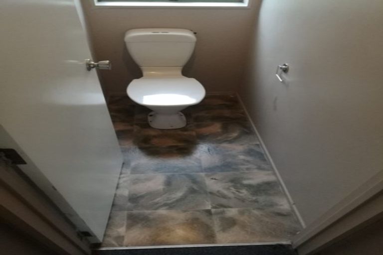 Photo of property in 43a Robert Skelton Place, Clendon Park, Auckland, 2103