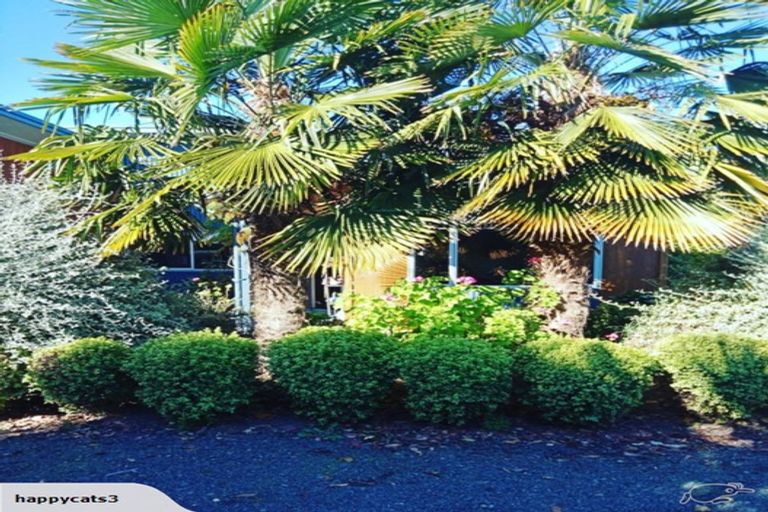 Photo of property in 38a King Street, Taradale, Napier, 4112