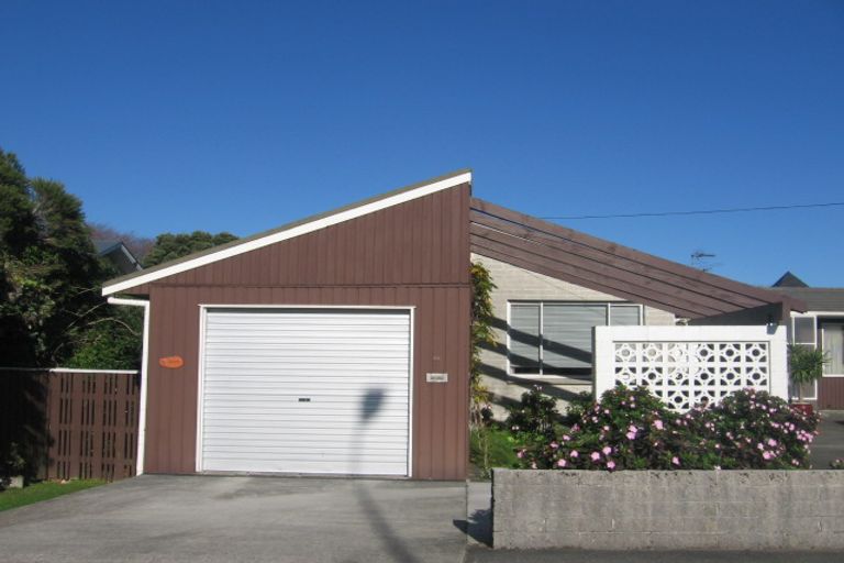 Photo of property in 48 Kings Crescent, Hutt Central, Lower Hutt, 5010