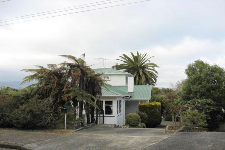 Photo of property in 6 Hillview Terrace, Levin, 5510