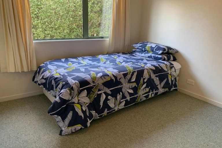 Photo of property in 45 Youghal Street, Wanaka, 9305