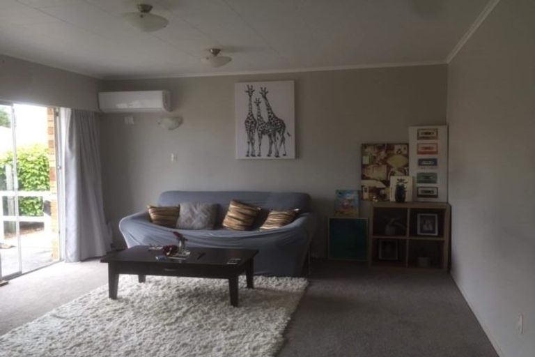 Photo of property in 1/16 Findlater Street, Matamata, 3400