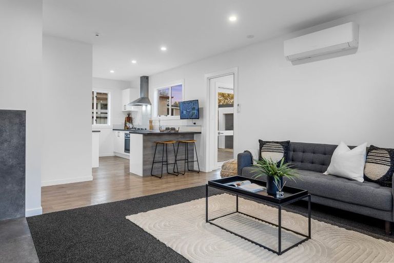 Photo of property in 141 Bordesley Street, Phillipstown, Christchurch, 8011