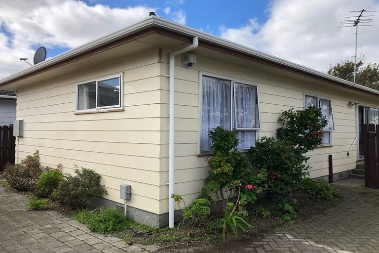 Photo of property in 24a Plunket Avenue, Petone, Lower Hutt, 5012