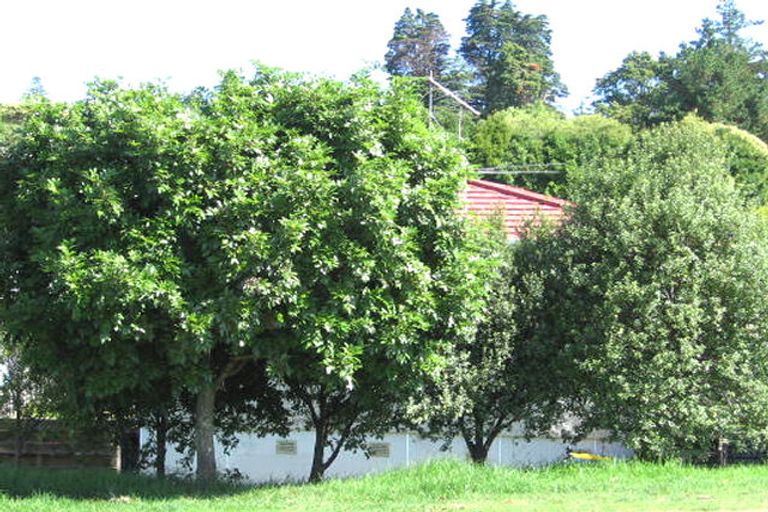 Photo of property in 1/43 Parker Avenue, New Lynn, Auckland, 0600