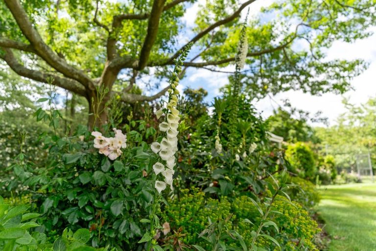 Photo of property in 35b Pokohiwi Road, Homebush, Masterton, 5810