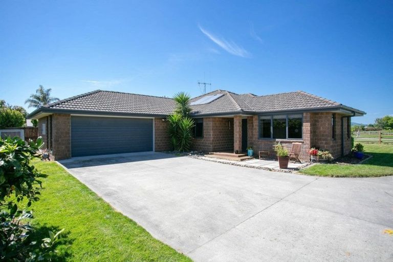 Photo of property in 22b Madison Street, Cambridge, 3434