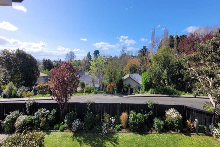 Photo of property in 82 Mchardy Street, Havelock North, 4130