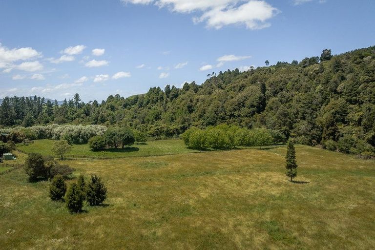 Photo of property in 209 Franklin Road, Waihi, 3682