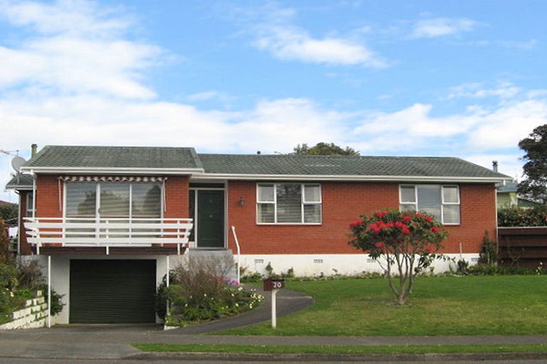 Photo of property in 20 Kennedy Drive, Levin, 5510