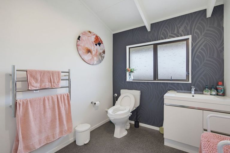 Photo of property in 133 Tiro Tiro Road, Levin, 5510