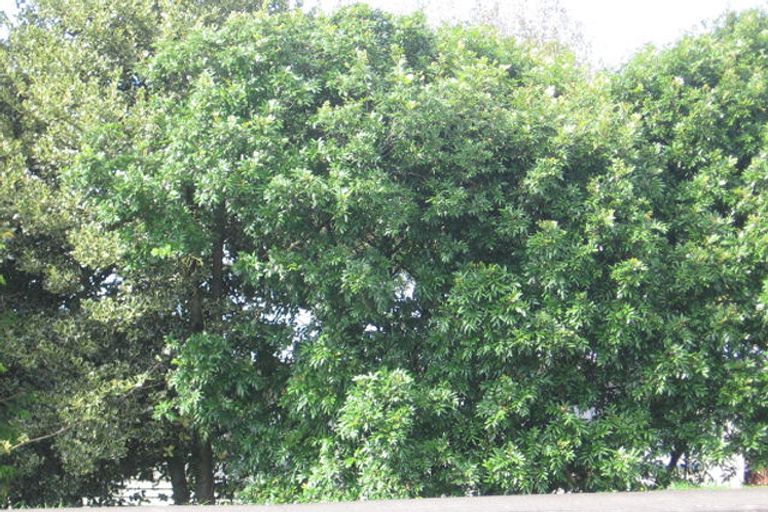 Photo of property in 2/30 Forest Hill Road, Henderson, Auckland, 0612