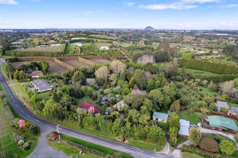 Photo of property in 31 Te Puna Quarry Road, Minden, Tauranga, 3179