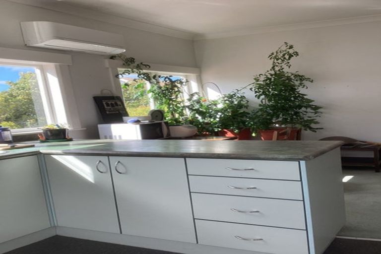 Photo of property in 29 Thompson Street, Mount Cook, Wellington, 6011