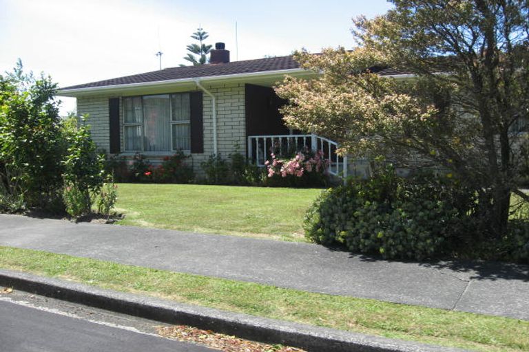 Photo of property in 1 Eastview Place, Feilding, 4702