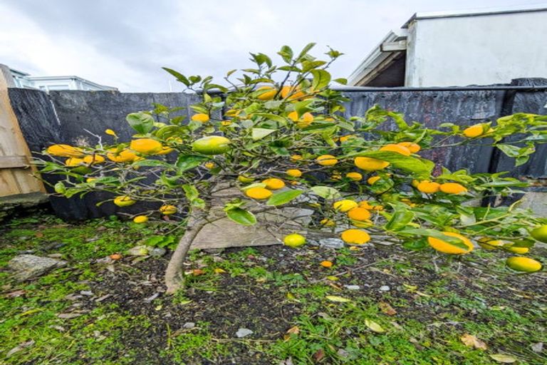 Photo of property in 282 Rintoul Street, Berhampore, Wellington, 6023