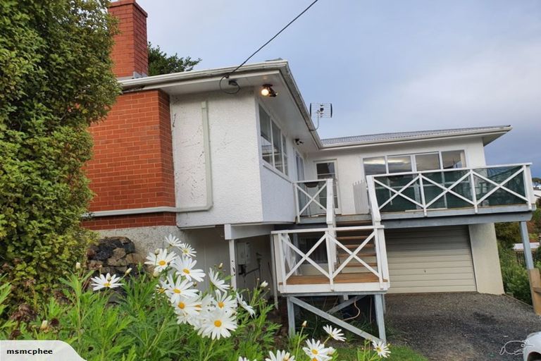 Photo of property in 50 Baldwin Street, North East Valley, Dunedin, 9010