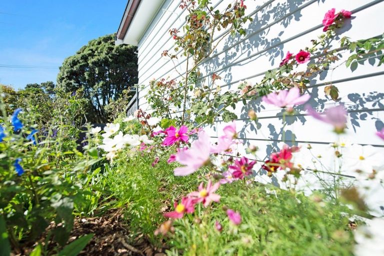 Photo of property in 8 Kaka Street, Waikanae, 5036