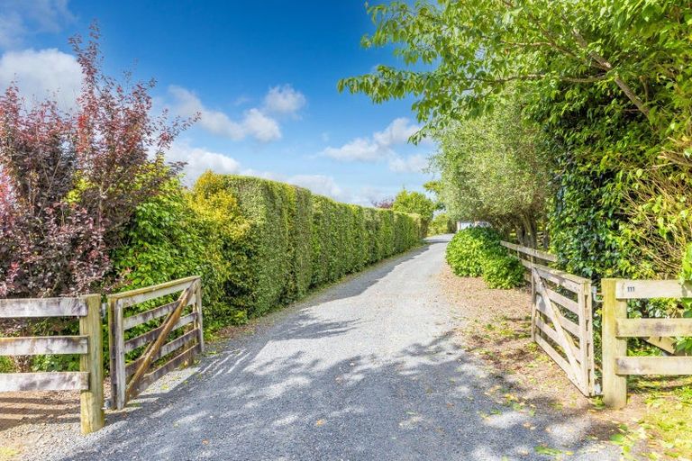 Photo of property in 115 Ellis Road, Otorohanga, 3974