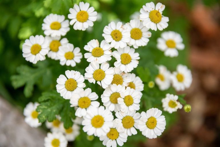 Photo of property in 31/25 Tacy Street, Kilbirnie, Wellington, 6022