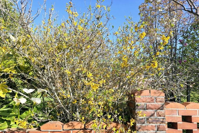 Photo of property in 20 Scotland Street, Picton, 7220