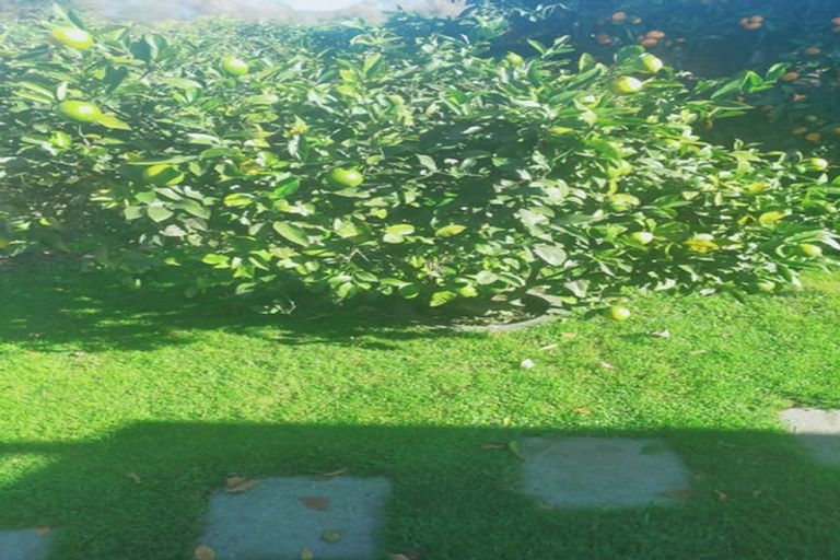 Photo of property in 16a Rata Street, Taradale, Napier, 4112