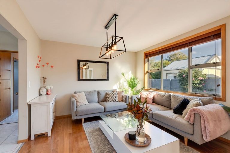 Photo of property in 58 Birchfield Avenue, Dallington, Christchurch, 8061