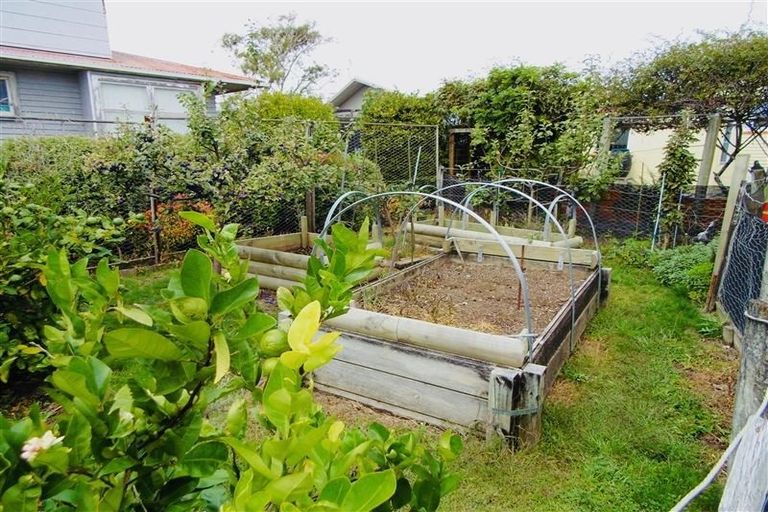 Photo of property in 13 Ngaio Street, Strandon, New Plymouth, 4312