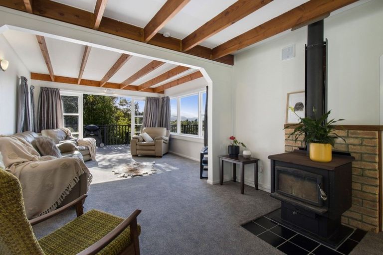 Photo of property in 597 Work Road, Whakamarama, Katikati, 3181