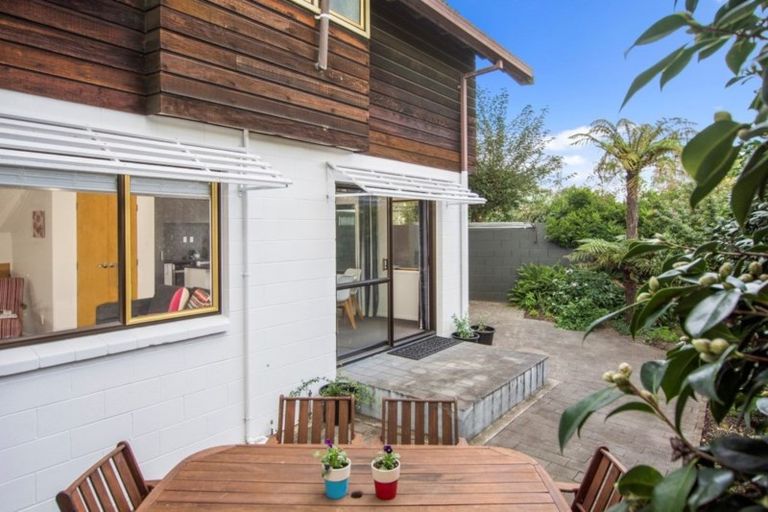 Photo of property in 43l Turret Road, Tauranga South, Tauranga, 3112