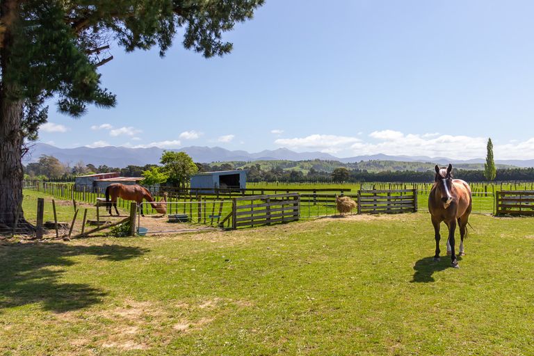 Photo of property in 49 Budd Road, Upper Plain, Masterton, 5888
