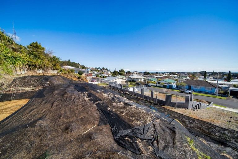 Photo of property in 77 Fulford Street, New Plymouth, 4310