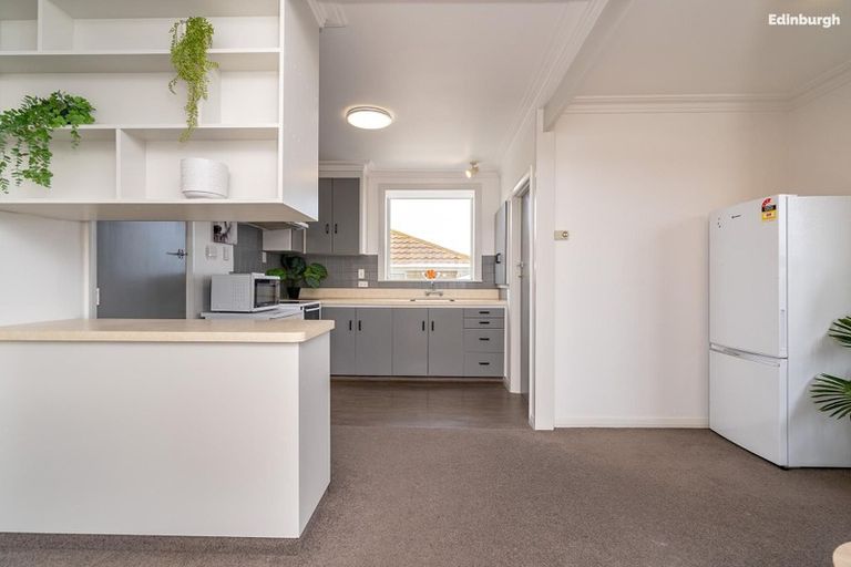 Photo of property in 163 Eglinton Road, Mornington, Dunedin, 9011