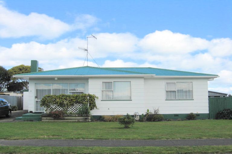 Photo of property in 57 Strathmore Avenue, Levin, 5510