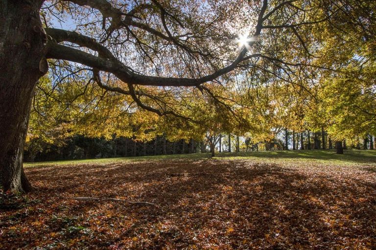 Photo of property in 43 Walker Road West, Aongatete, Katikati, 3178