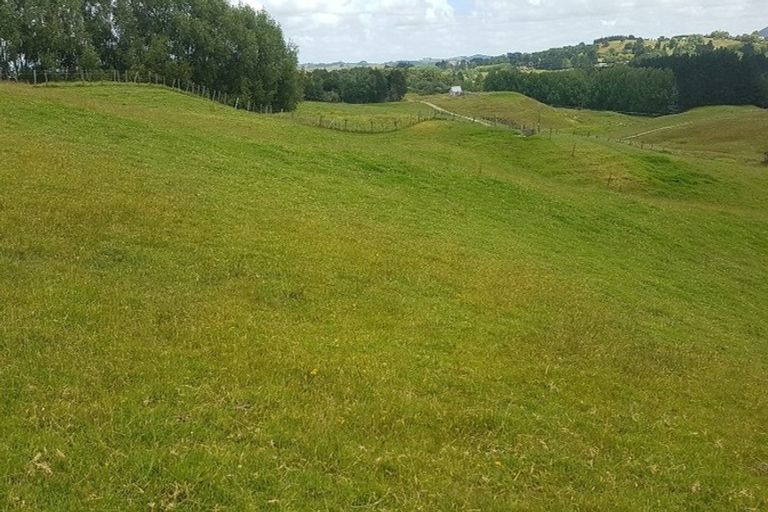 Photo of property in 117 Kaiwaka-mangawhai Road, Kaiwaka, Wellsford, 0975