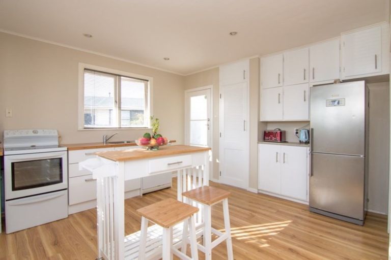 Photo of property in 45 Tararua Terrace, Cloverlea, Palmerston North, 4412