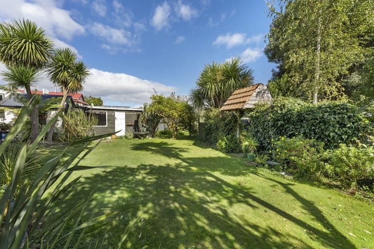 Photo of property in 149 Cambridge Street, Levin, 5510