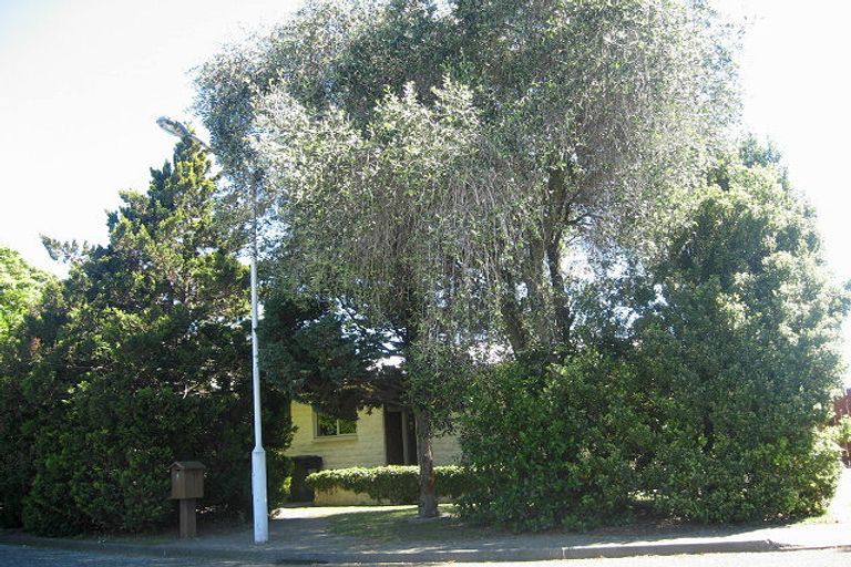 Photo of property in 5 Mckinley Lane, Blenheim, 7201