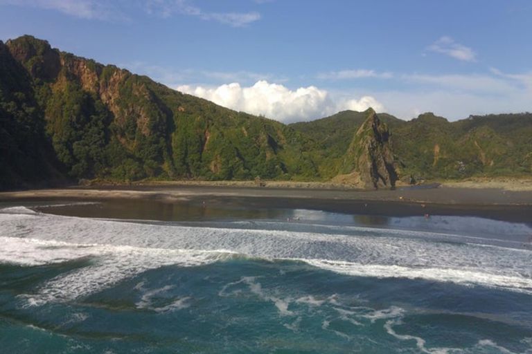 Photo of property in 105 Lone Kauri Road, Karekare, New Lynn, 0772