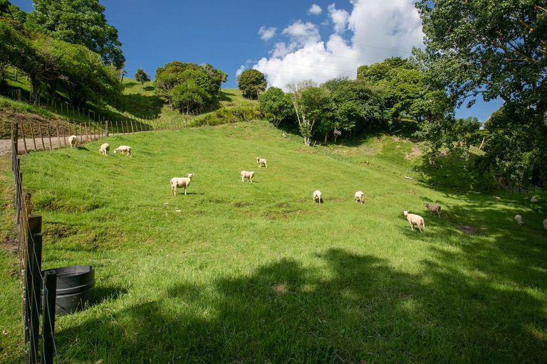 Photo of property in 79 Norwegian Road, Rotoorangi, Cambridge, 3495