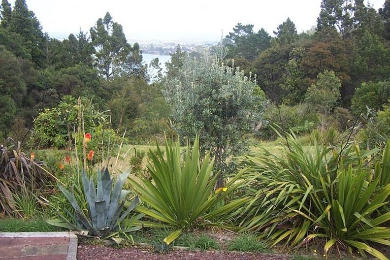 Photo of property in 91 Upper Drive, Greenhithe, Auckland, 0632