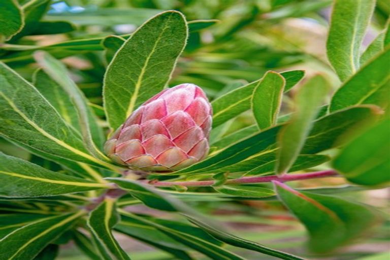 Photo of property in 48 Andersons Road, Charteris Bay, Lyttelton, 8971