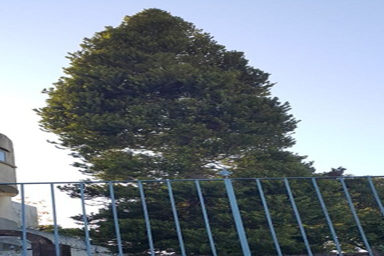 Photo of property in 9 Fowlers Avenue, Frankton, Hamilton, 3204