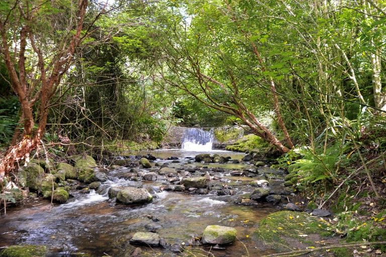 Photo of property in 60 Frasers Road, Glenross, Dunedin, 9011