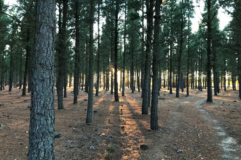 Photo of property in 390d Letts Gully Road, Letts Gully, Alexandra, 9393