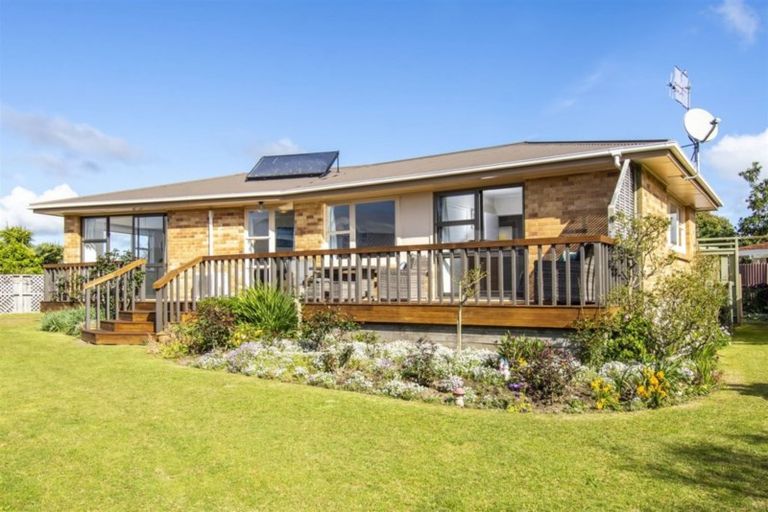Photo of property in 18 Vine Avenue, Maungatapu, Tauranga, 3112